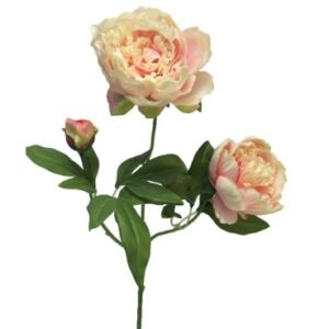 Peony pink duchesse spray